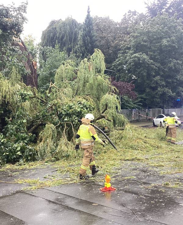 Der umgestürzte Baum in der Stadtmitte von Bergisch Gladbach.
