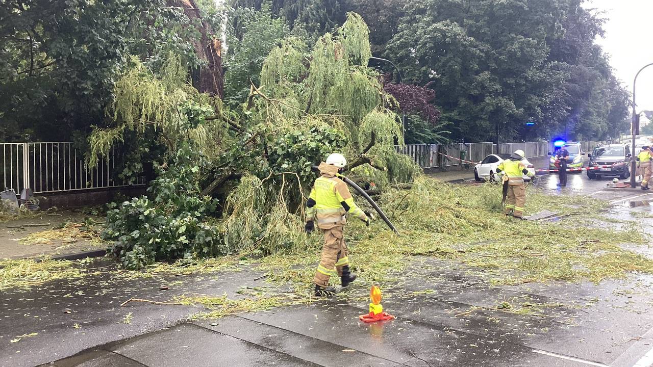 Der umgestürzte Baum in der Stadtmitte von Bergisch Gladbach.