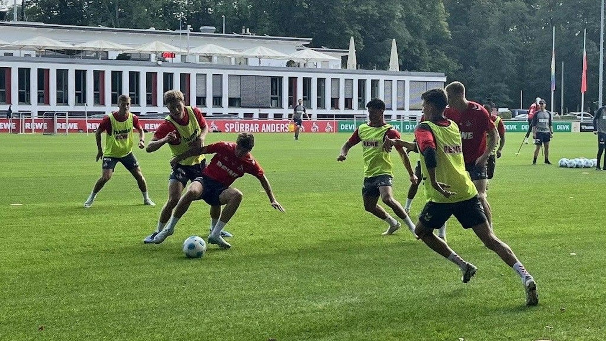 Die Spieler des 1. FC Köln am 7. September 2024 im Training am Geißbockheim.