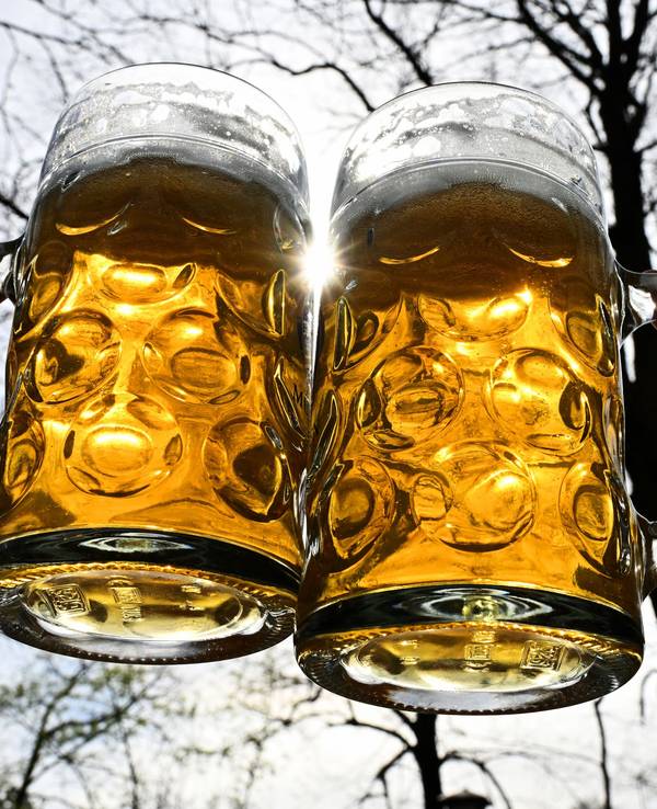 Ein junges Paar stößt im Englischen Garten am chinesischen Turm mit zwei vollen Maßkrügen an.