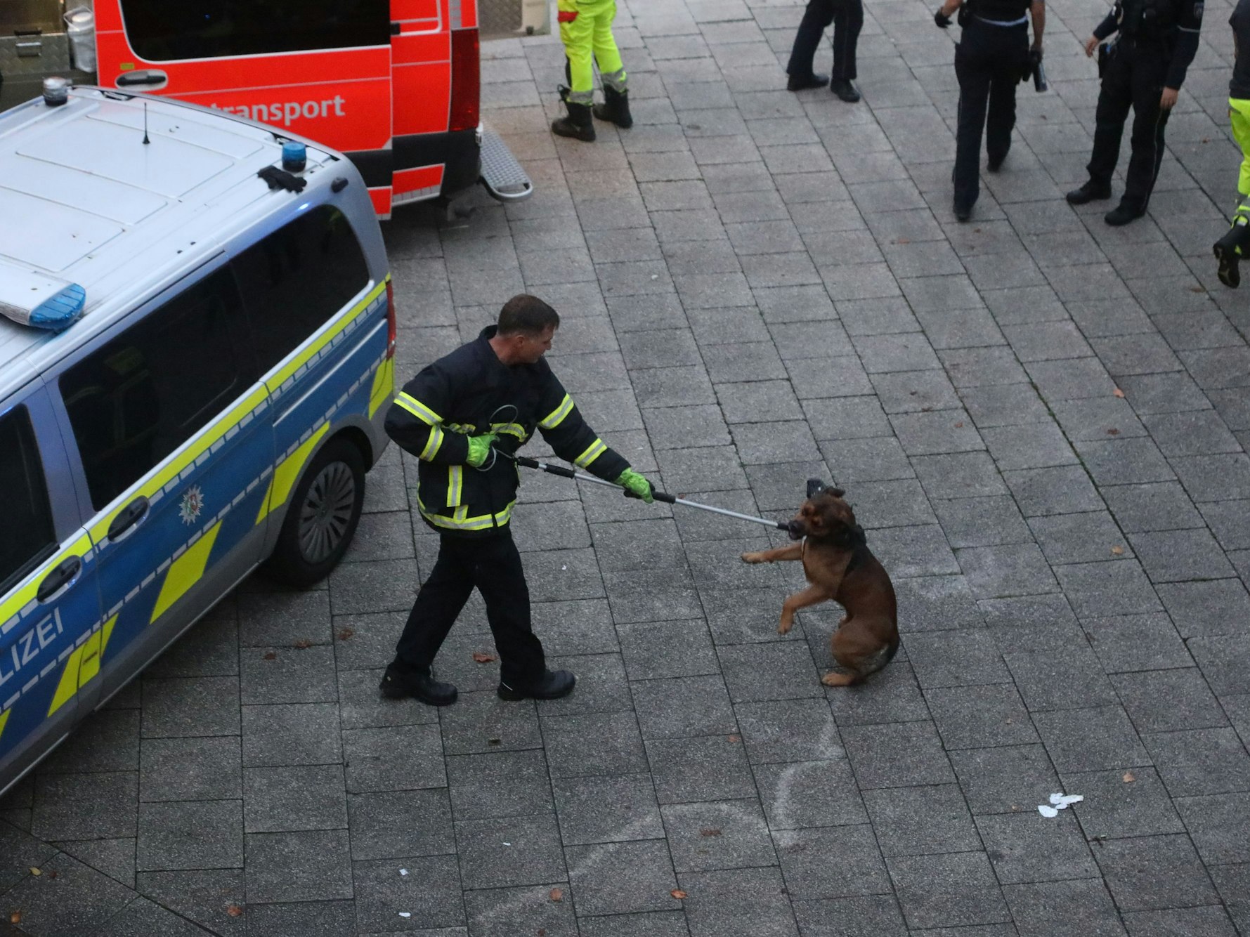 Ein Mann fängt einen Hund mit einer Schlinge ein.