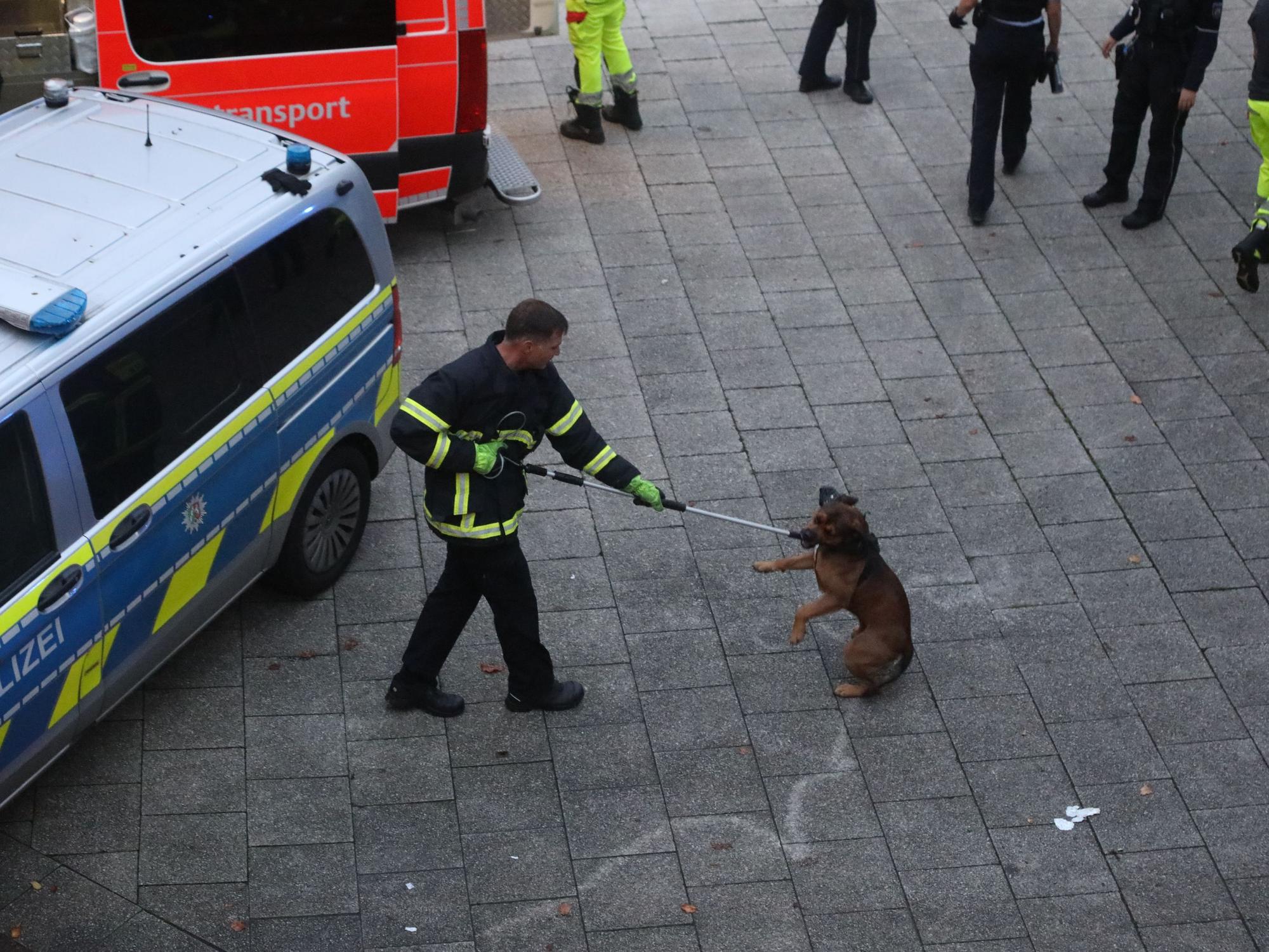 Ein Mann fängt einen Hund mit einer Schlinge ein.