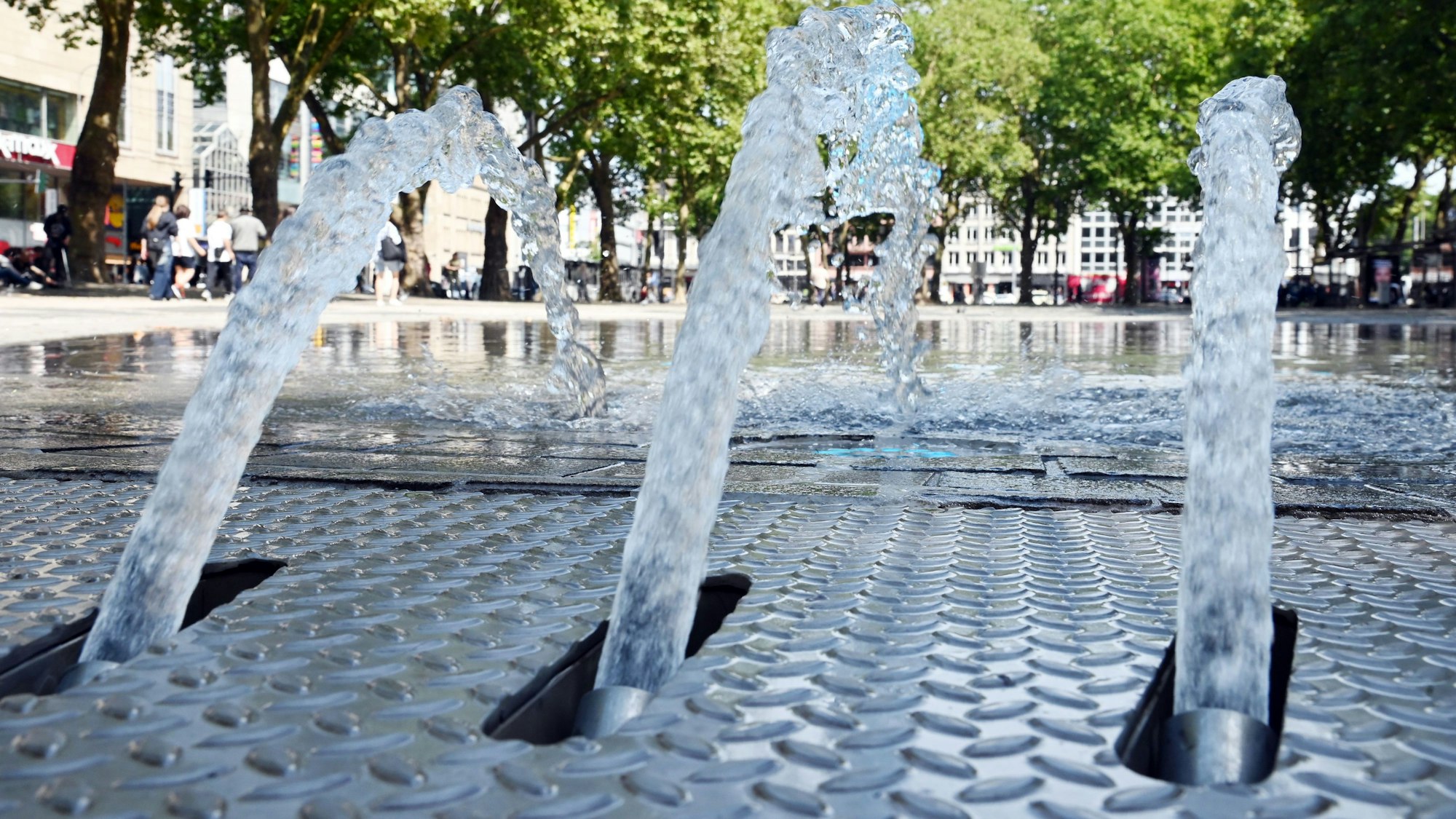 Der Brunnen am Neumarkt.