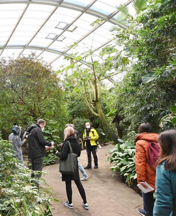 Blick in das Tropenhaus im Kölner Zoo.