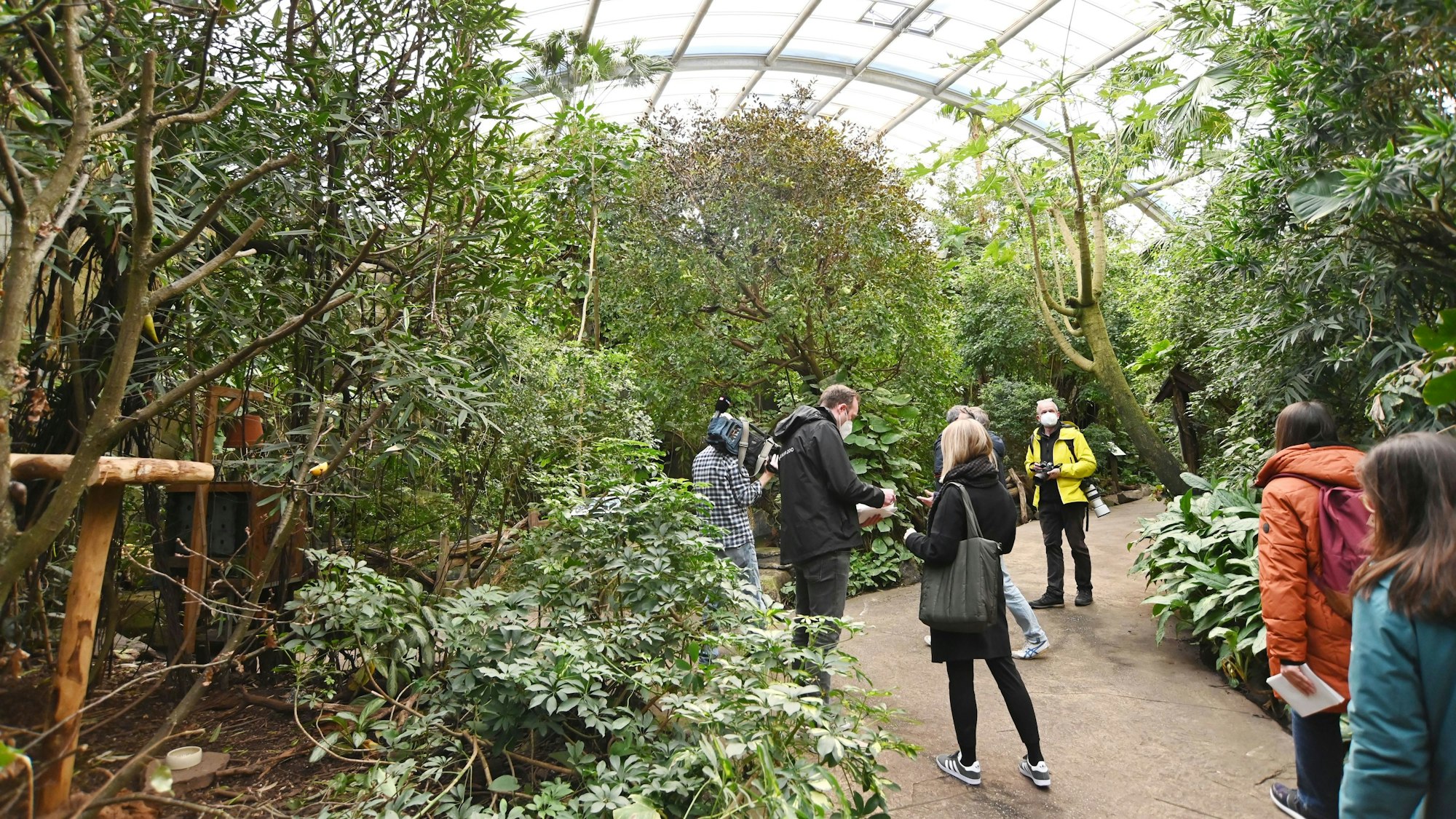 Blick in das Tropenhaus im Kölner Zoo.