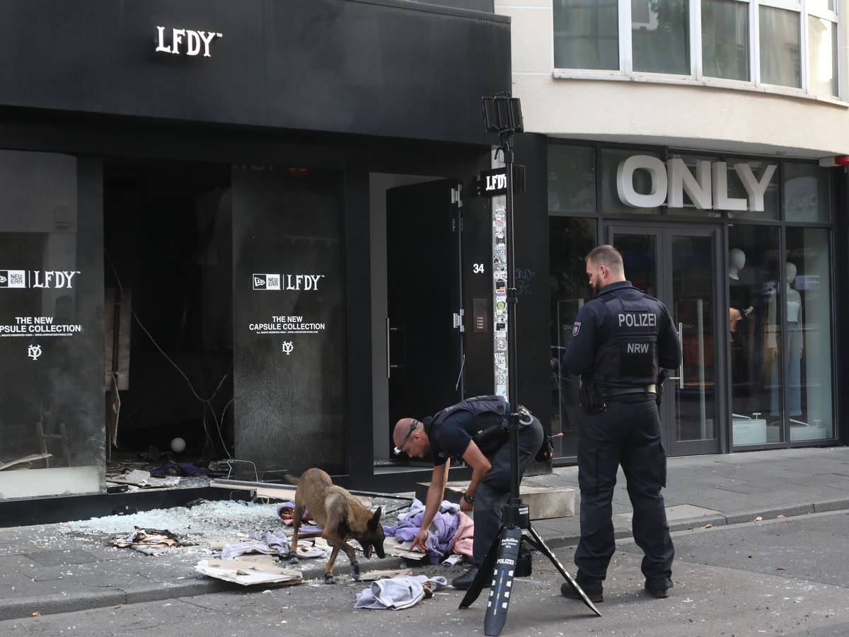 Ein Spürhund untersucht den Tatort auf der Ehrenstraße nach der Explosion.