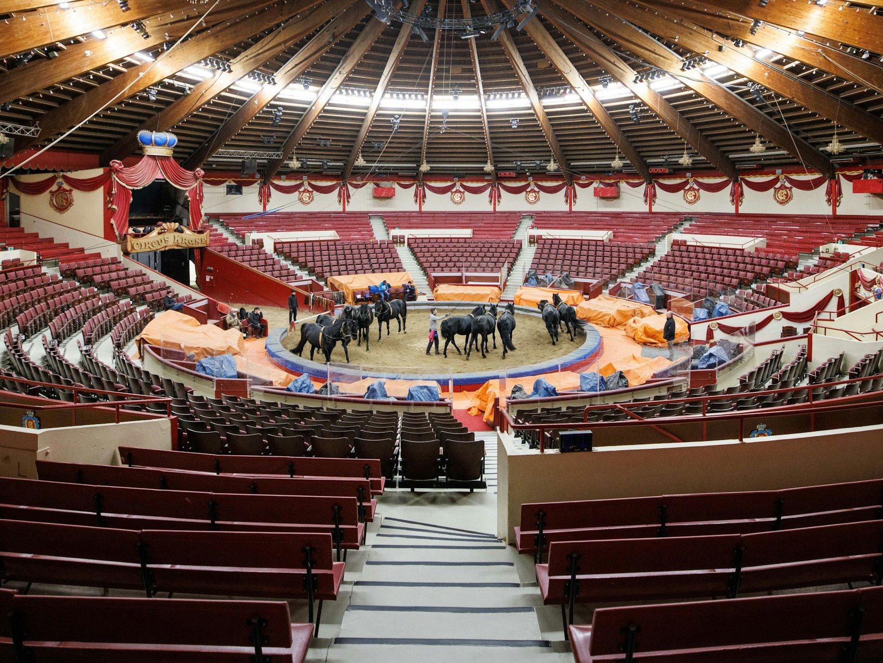 Hans-Ludwig Suppmeier, Tierlehrer, arbeitet in der Manege vom Cirkus Krone mit den Zirkuspferden. Der Circus Krone musste das zweite Jahr in Folge sein Weihnachtsprogramm wegen der Coronapandemie auf Eis legen. (zu dpa «Vielerorts keine frohe Weihnacht im Zirkus - «Wir sind so traurig») +++ dpa-Bildfunk +++