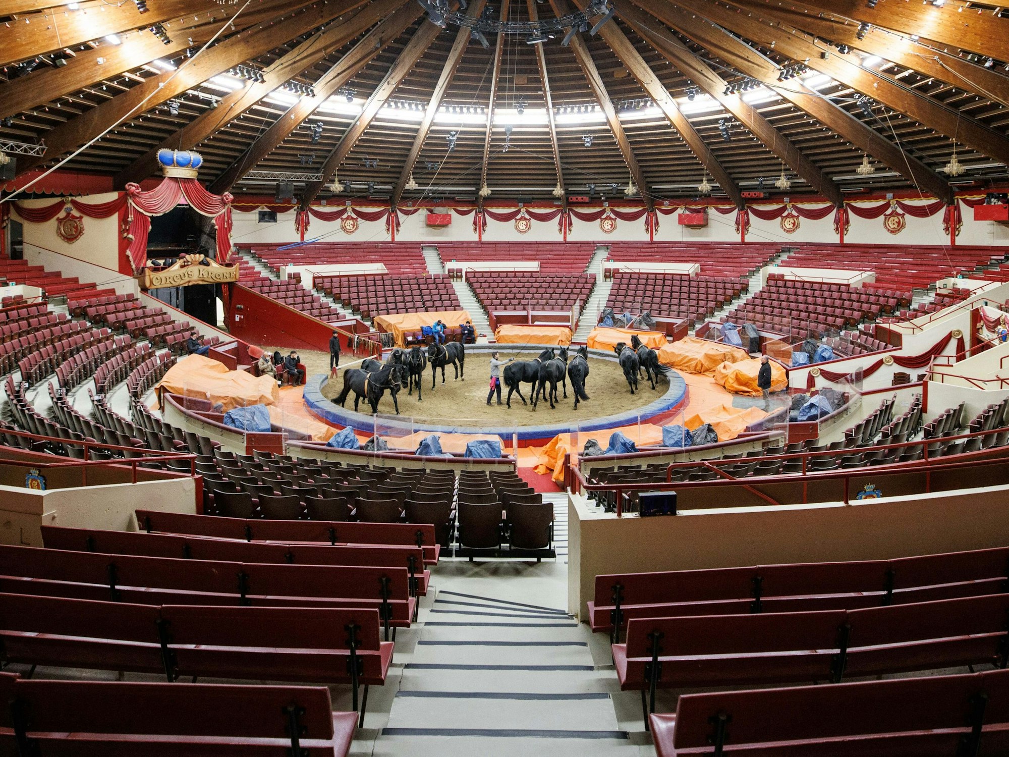 Hans-Ludwig Suppmeier, Tierlehrer, arbeitet in der Manege vom Cirkus Krone mit den Zirkuspferden. Der Circus Krone musste das zweite Jahr in Folge sein Weihnachtsprogramm wegen der Coronapandemie auf Eis legen. (zu dpa «Vielerorts keine frohe Weihnacht im Zirkus - «Wir sind so traurig») +++ dpa-Bildfunk +++