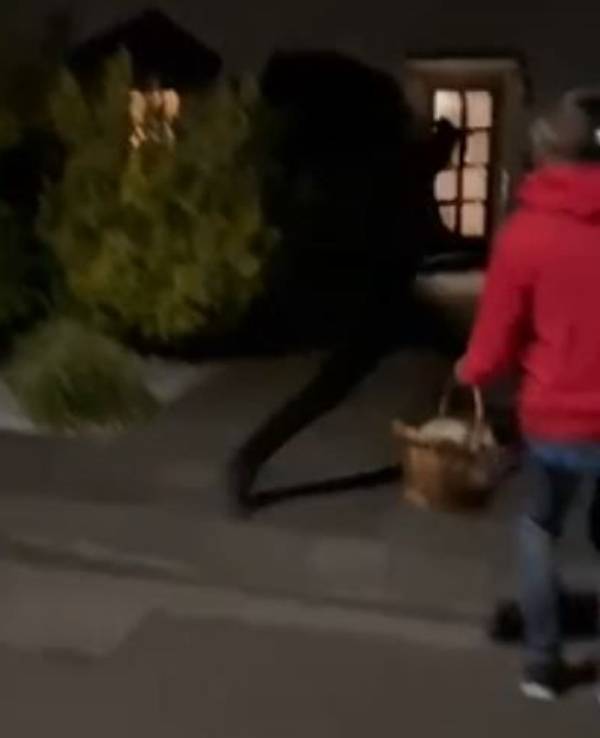 Mann in dunkler Kleidung sprintet durch ein Wohngebiet und wird von Anwohnenden gefilmt.