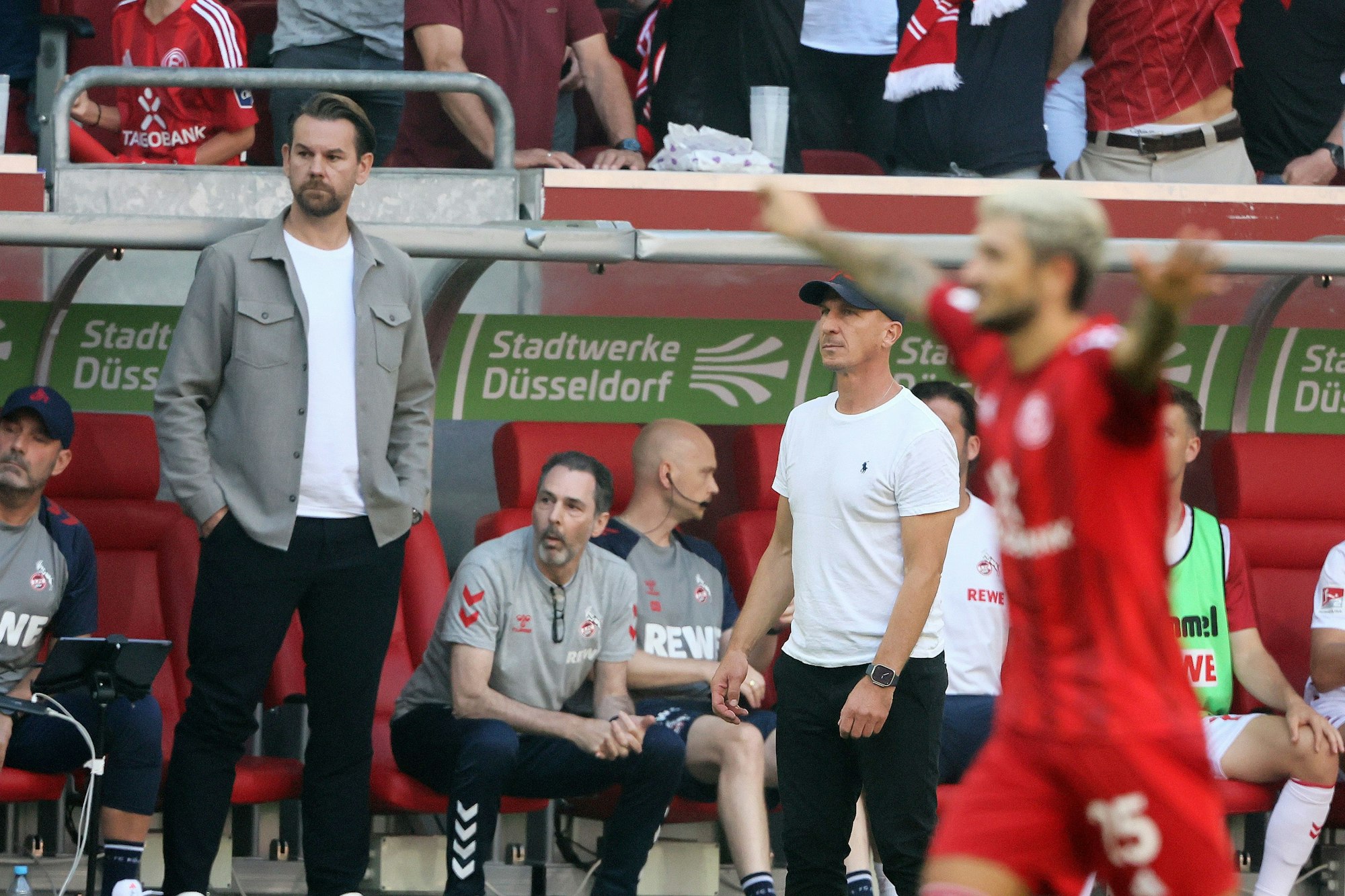 Gerhard Struber (1. FC Köln) kurz nach dem Gegentor zum 2:2 Ausgleich in Düsseldorf.