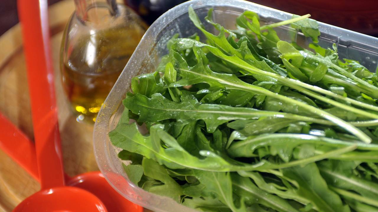Rucola (auch Rukola) ist eine beliebte Salatpflanze und im deutschsprachigen Raum auch als Rauke bekannt, Foto aufgenommen am 12.08.2009 in Leipzig.