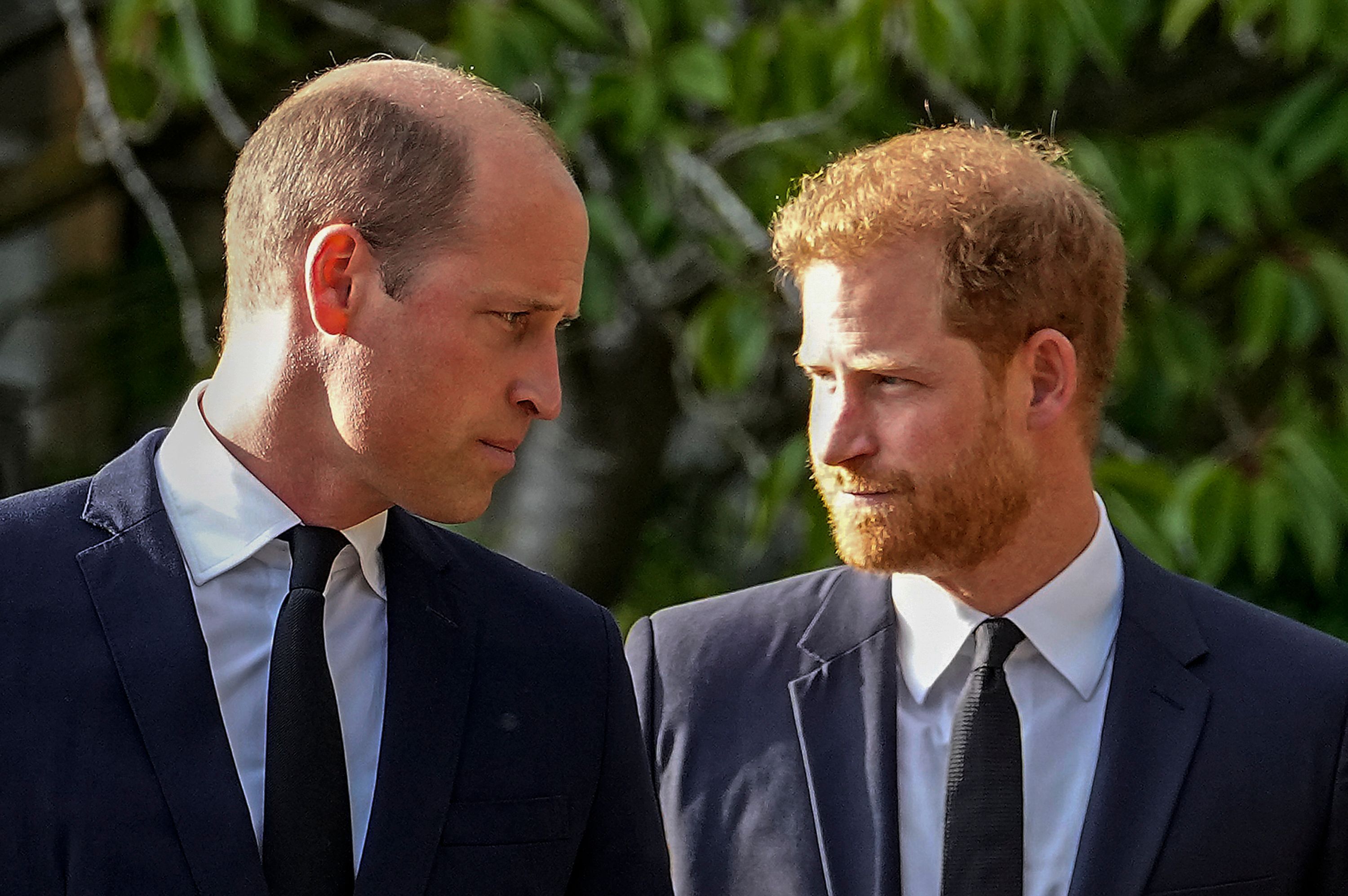 Prinz William und Prinz Harry stehen nebeneinander.