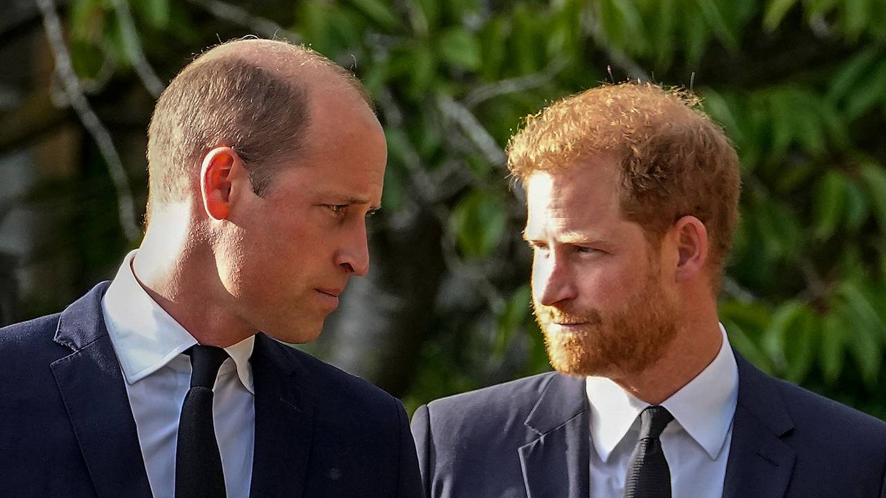 Prinz William und Prinz Harry stehen nebeneinander.