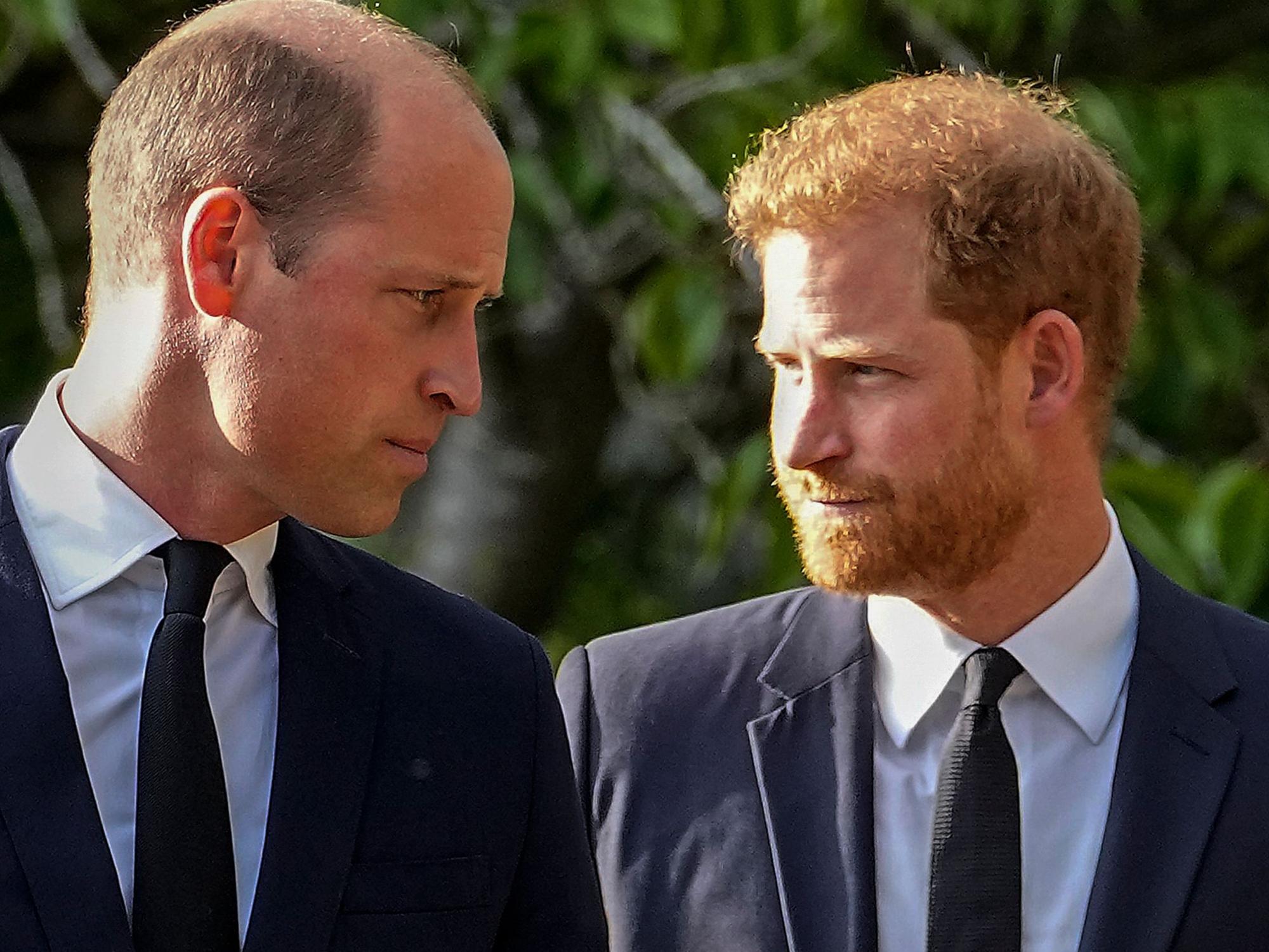 Prinz William und Prinz Harry stehen nebeneinander.