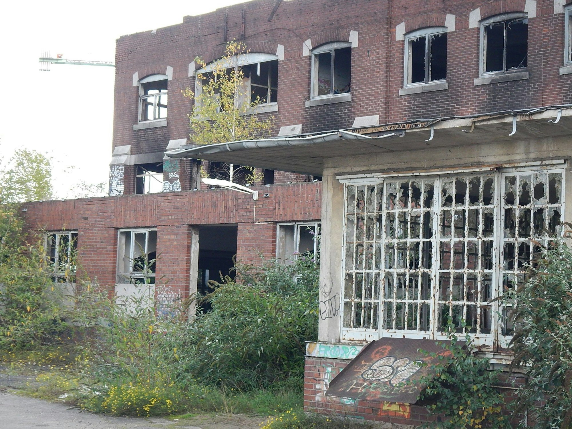 Ein Gebäude ist nur noch eine Ruine, die Fensterscheiben sind eingeschlagen, Unkraut wuchert.