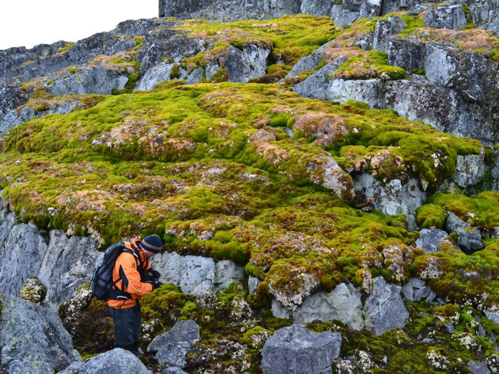 Norsel Point. Credit Dan Charman/University of Exeter
