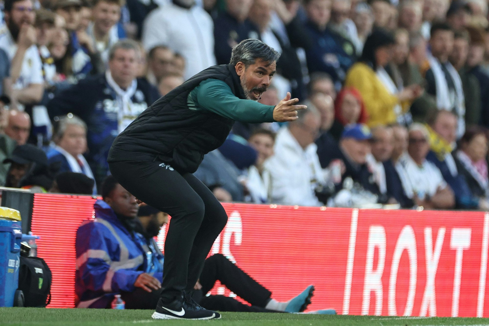 David Wagner, Trainer von Norwich City, reagiert an der Seitenlinie.