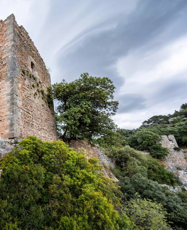 Steinstufen und Turm der Burgruine Castell Alaró, Serra de Tramuntana, Puig dAlaró, Mallorca, Spanien, Europa