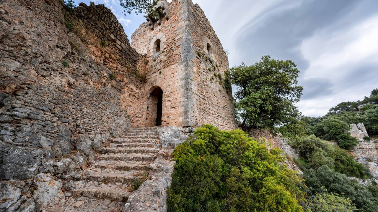Steinstufen und Turm der Burgruine Castell Alaró, Serra de Tramuntana, Puig dAlaró, Mallorca, Spanien, Europa