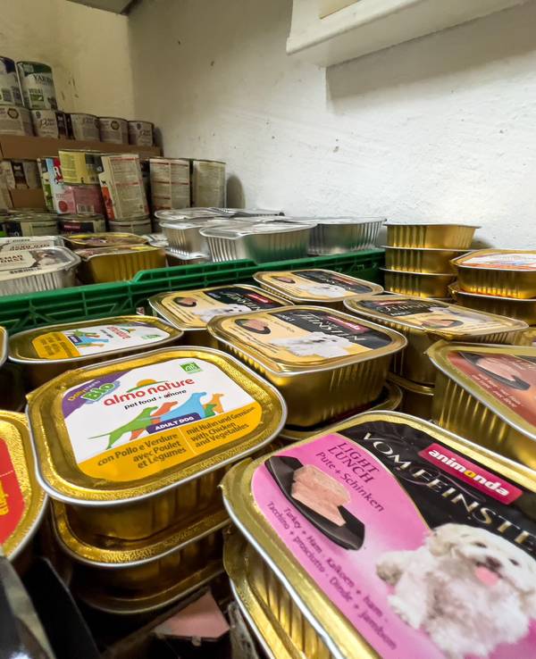 In der Ausgabestelle des Magdeburger Tierankers in der Ackerstraße lagern zahlreiche Futterdosen und Tüten voll mit Hunde- und Katzenfutter.