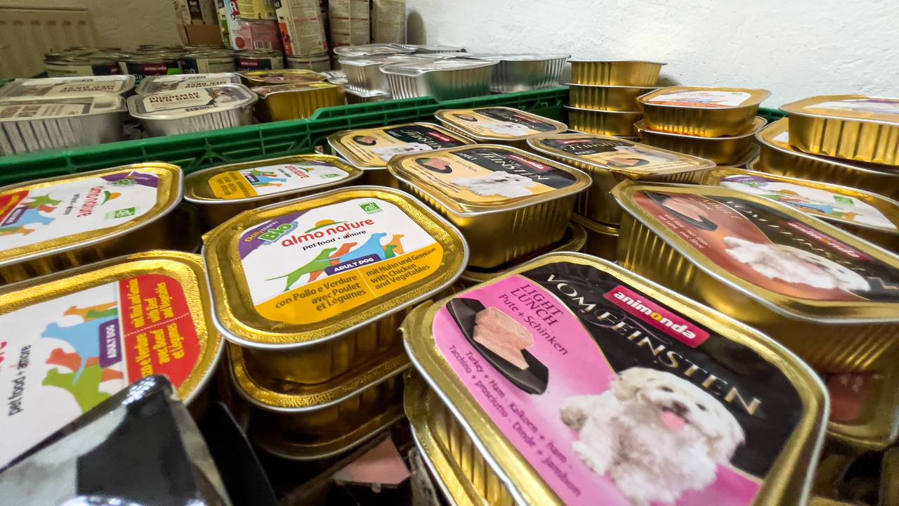 In der Ausgabestelle des Magdeburger Tierankers in der Ackerstraße lagern zahlreiche Futterdosen und Tüten voll mit Hunde- und Katzenfutter.