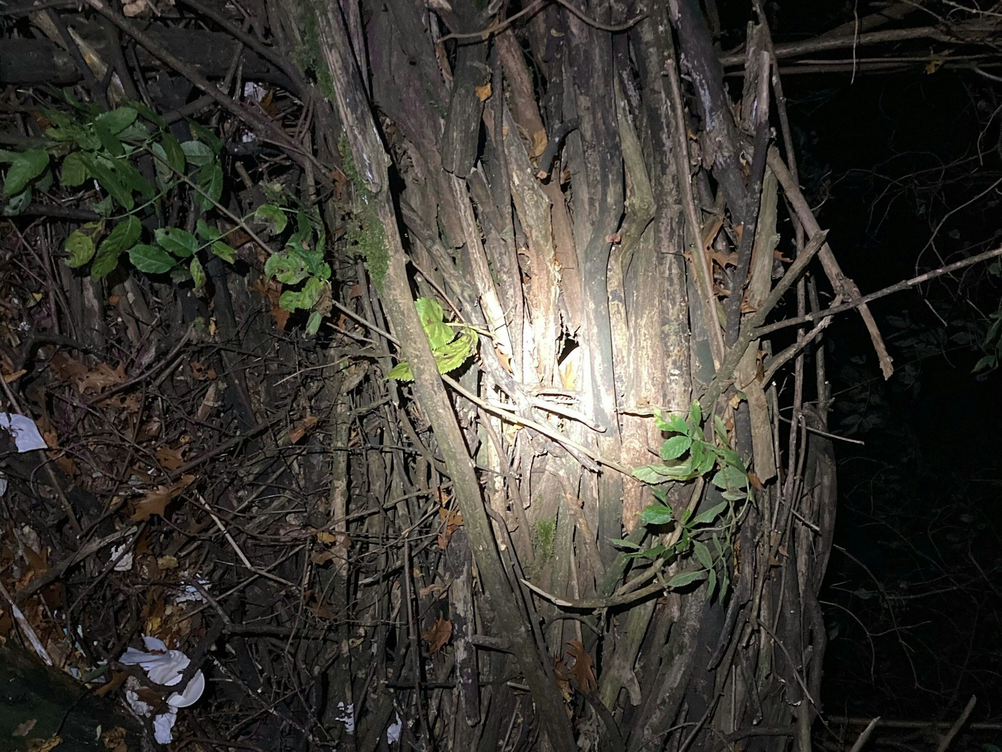 Holz wurde gestapelt.