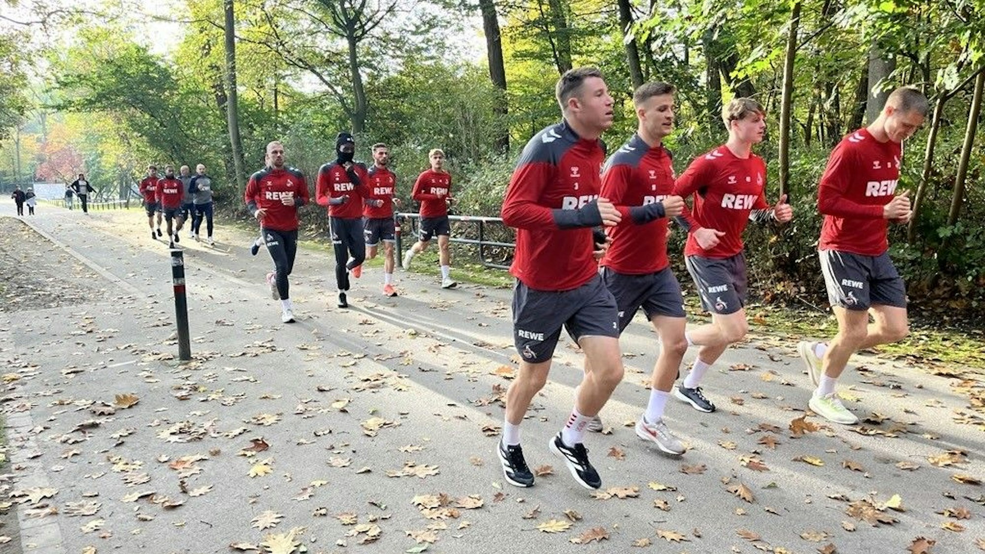 Die FC-Profis beim Waldlauf.