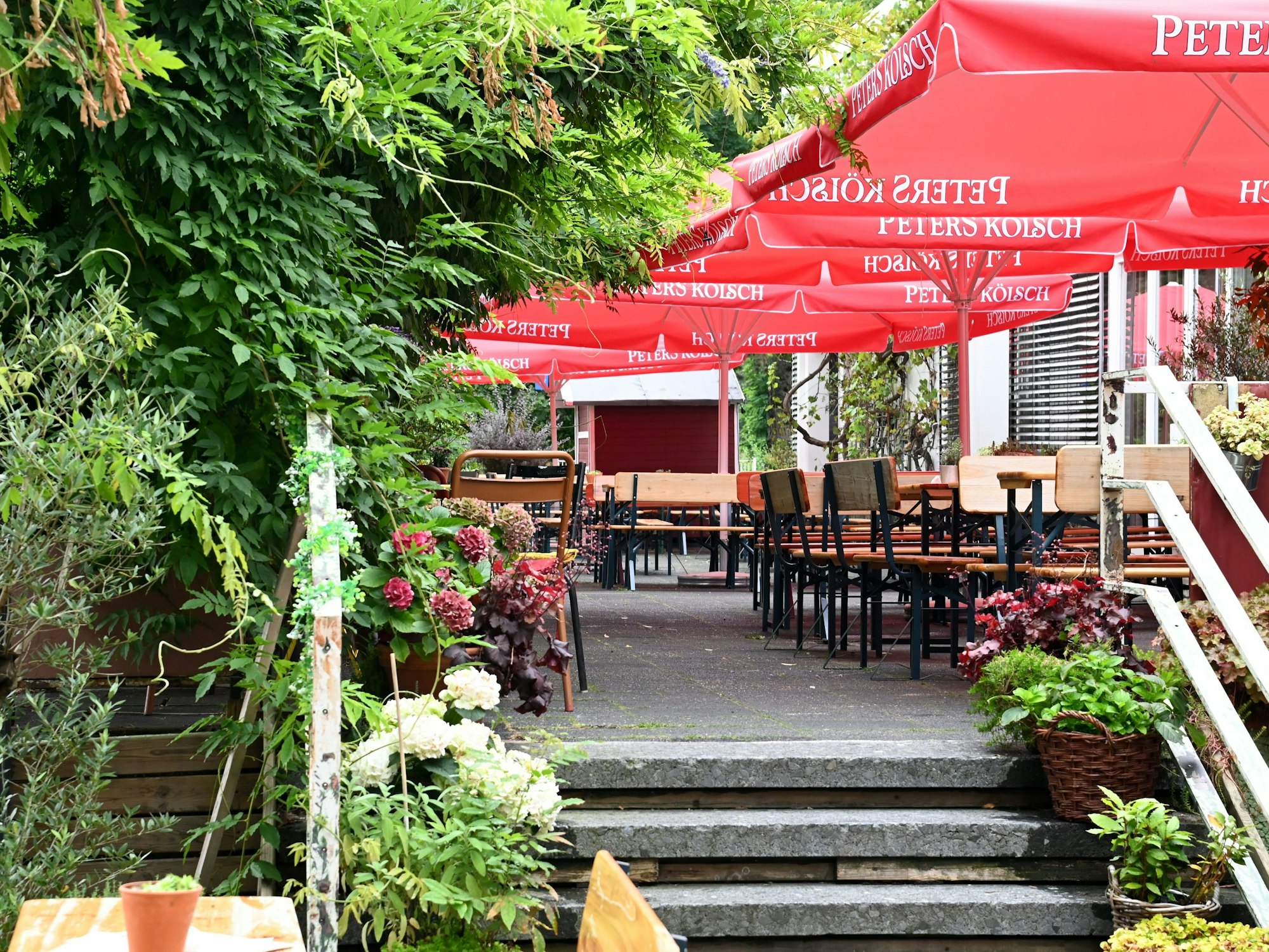 Außengastro mit Bierbänken, umgeben von Pflanzen