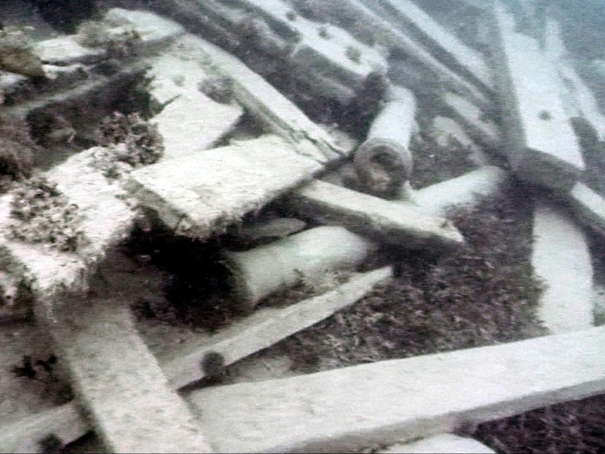 Überreste im Meer aus dem 19. Jahrhundert: Das Foto von 2014 zeigt zwei kleine Kanonen-Rohre zwischen den verstreuten Balken. Es handelt sich um Überreste des Schiffbruchs von Sir John Franklin, der eine Expedition in die Polarregion leitete.