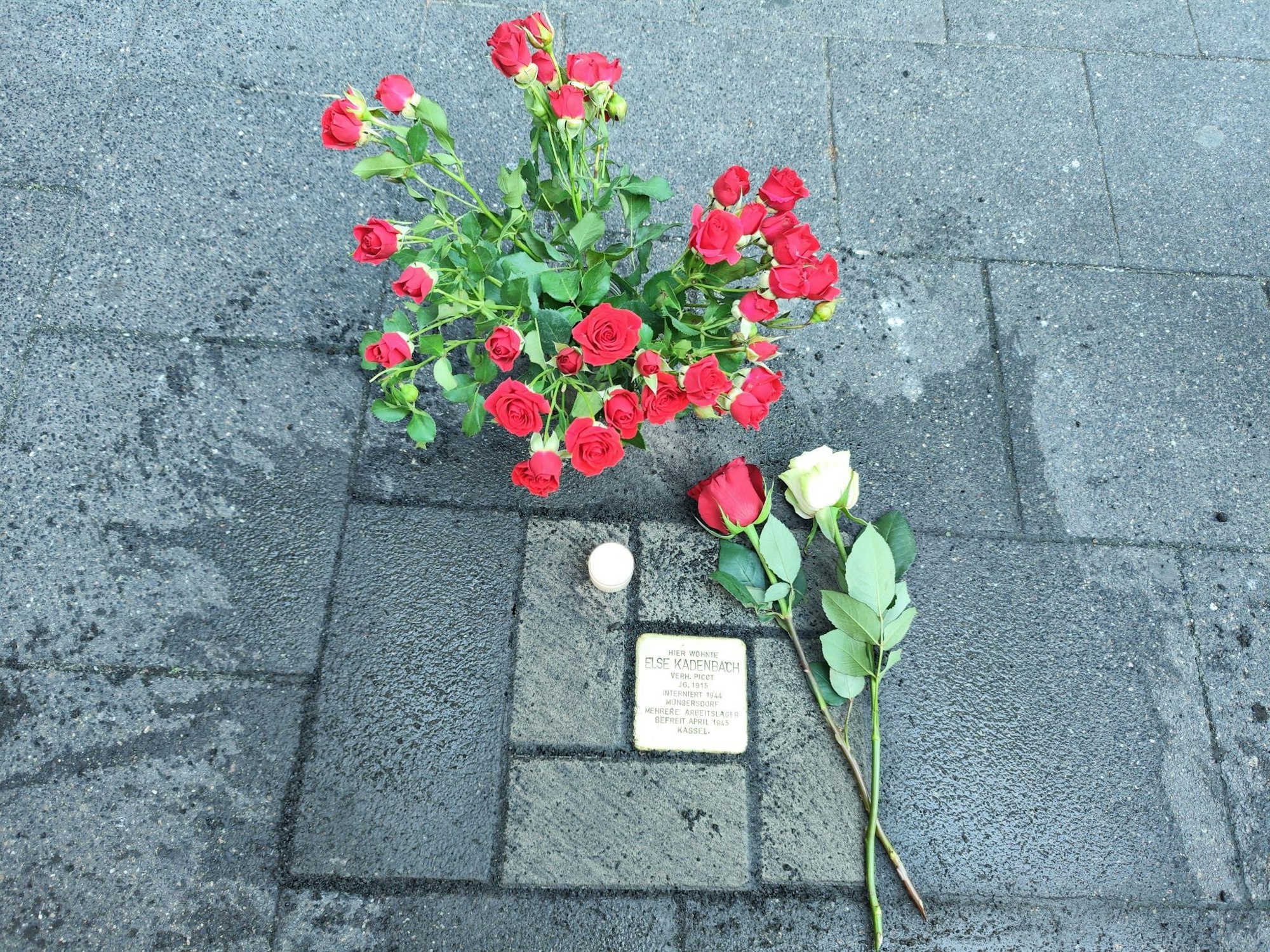 Blumen am Stolperstein für Else Kadenbach in Köln.