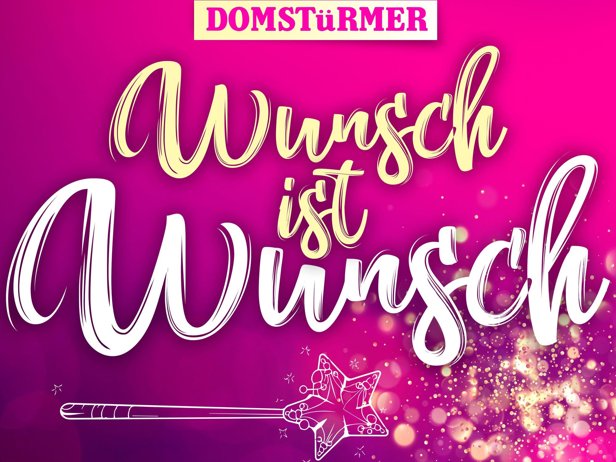 Cover des Songs „Wunsch ist Wunsch“ der Domstürmer.