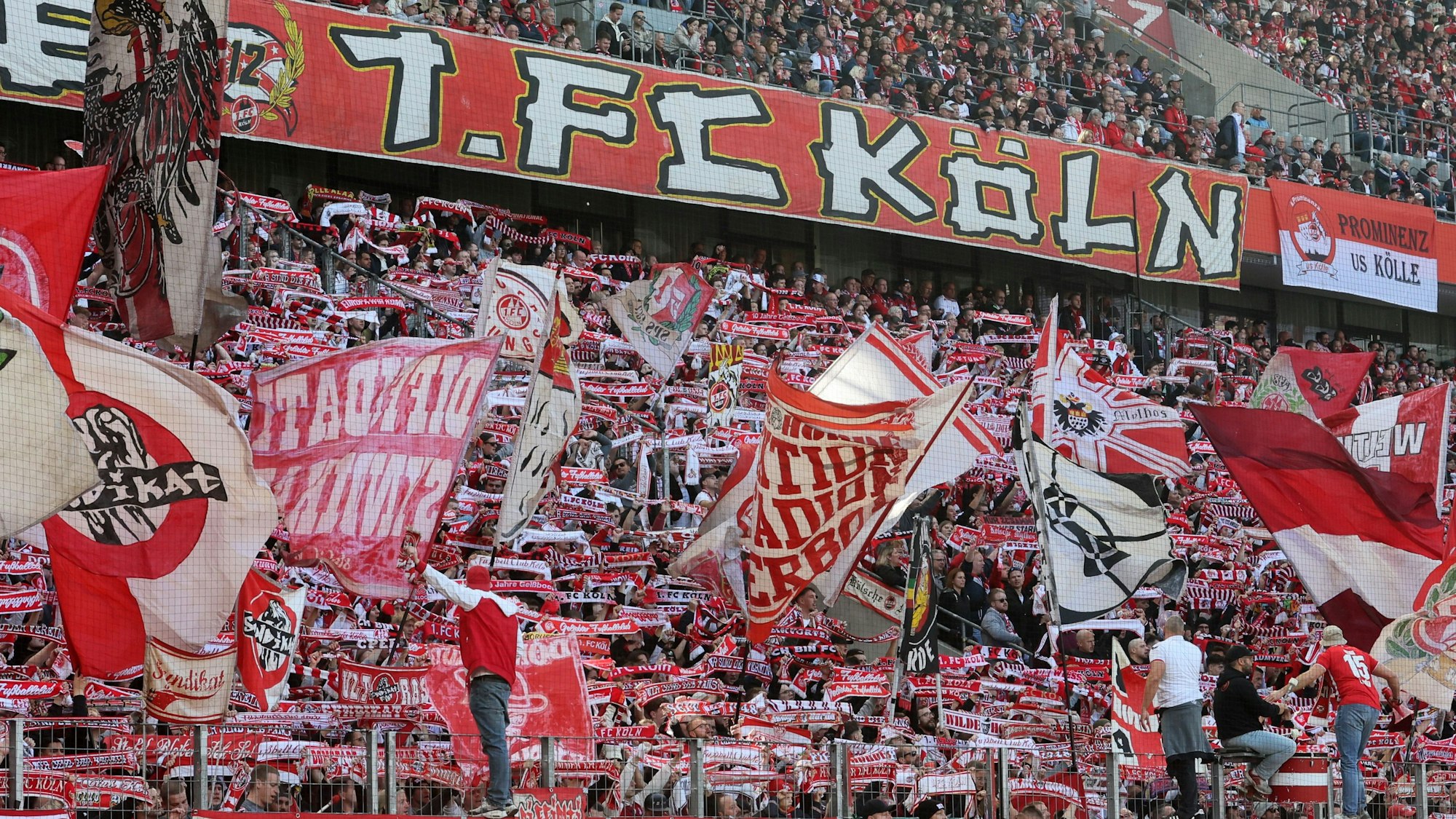 Fans auf der Südtribüne (1. FC Köln)
