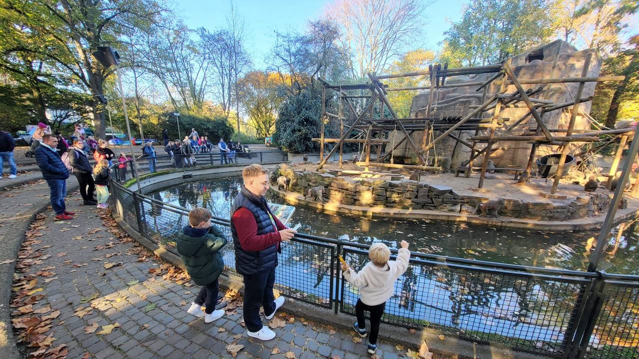 Menschen stehen am Affenfelsen im Kölner Zoo und beobachten die Tiere.
