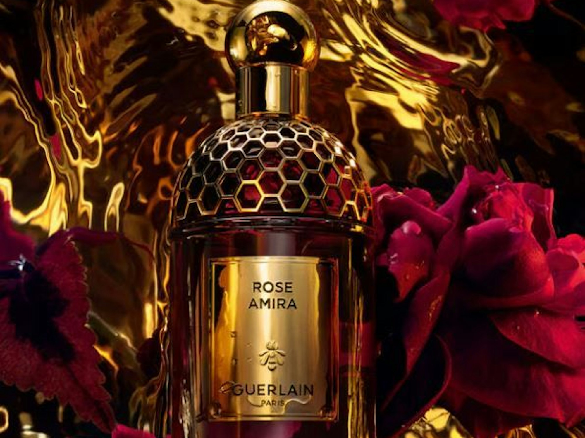 Advents-Geschenke: Absolus Allegoria Rose Amira von Guerlain