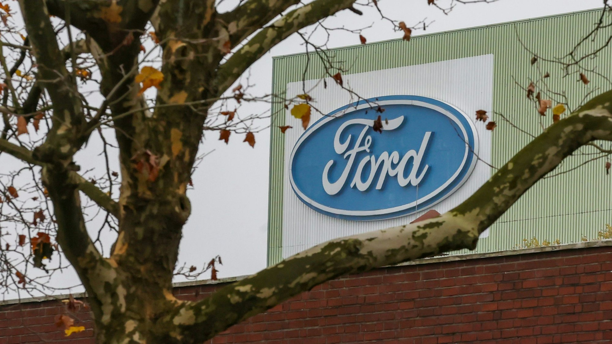 Blick auf das Kölner Ford-Werk am 13. November 2024.