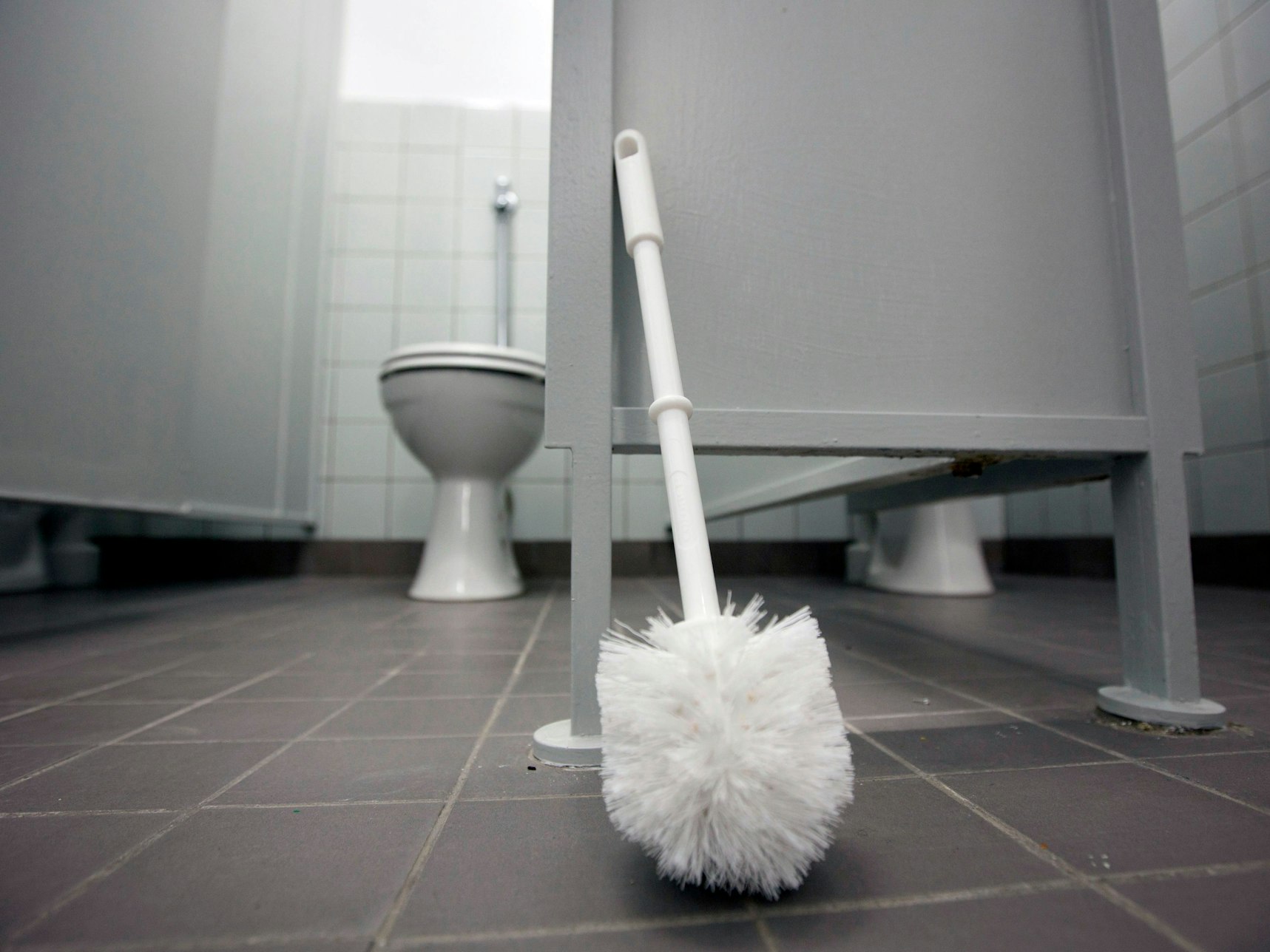 Eine Klobürste lehnt am 13.03.2012 an einer Tür im Toilettentrakt eine Schule in Groß-Bieberau.