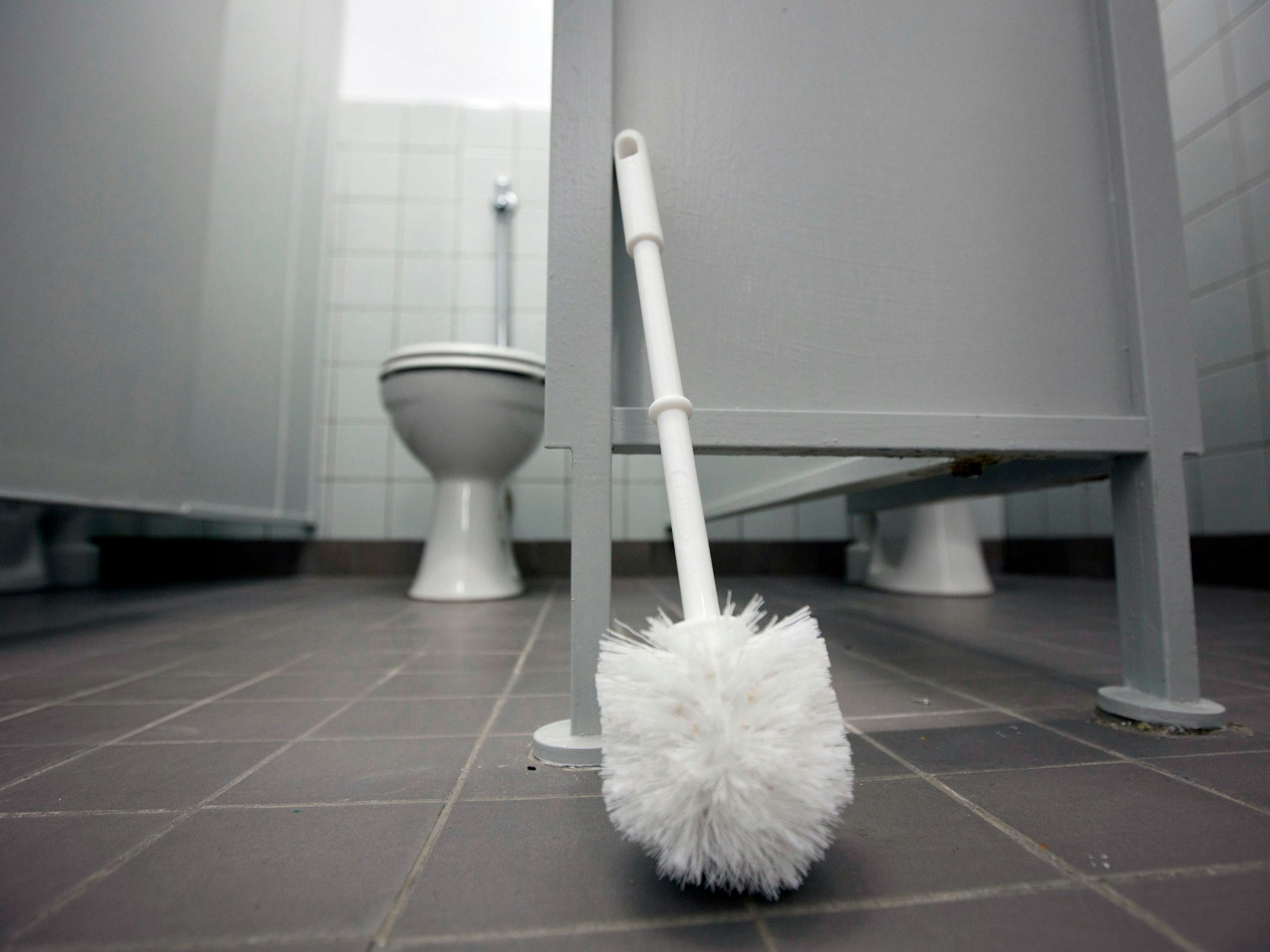 Eine Klobürste lehnt am 13.03.2012 an einer Tür im Toilettentrakt eine Schule in Groß-Bieberau.