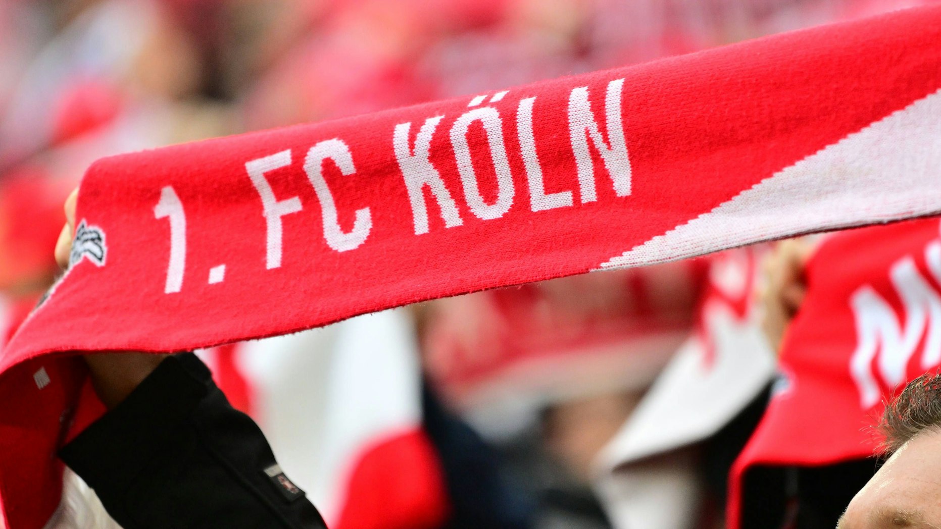 Ein Fan hält einen Schal mit der Aufschrift 1. FC Köln hoch.
