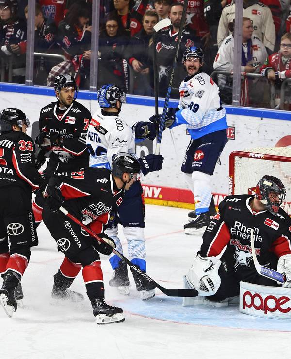 Tor für den ERC Ingolstadt gegen die Kölner Haie in der DEL.