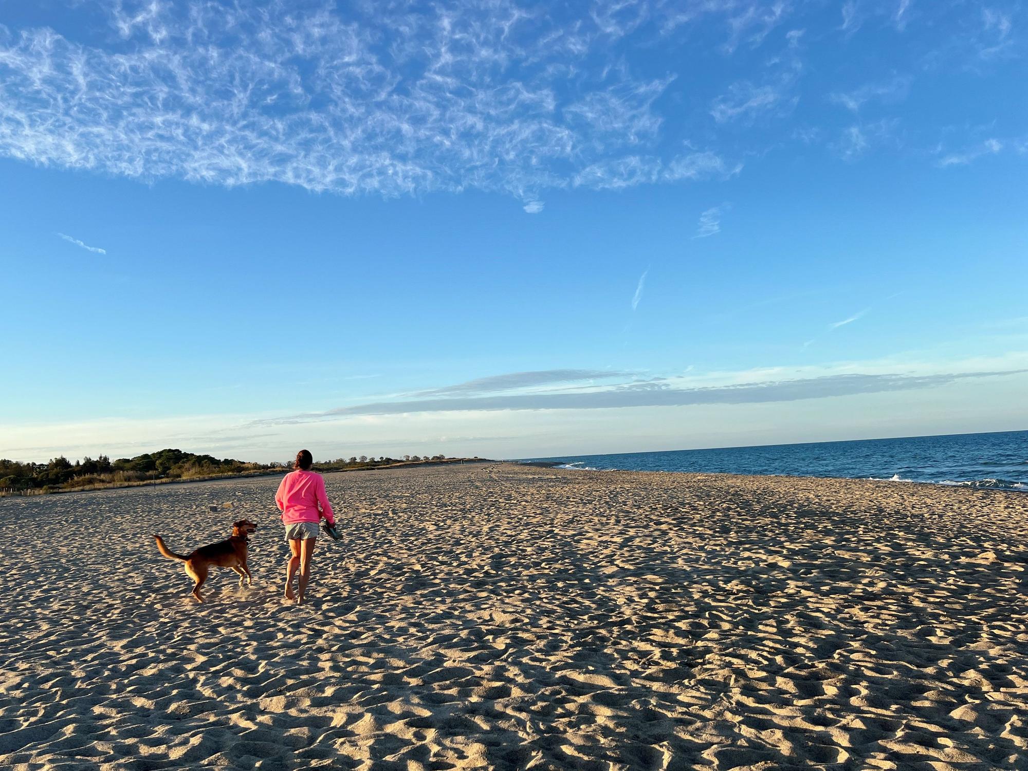 Camping Le Rouissilionais in Argels sur Mer
für Reiseseite 24.11.24