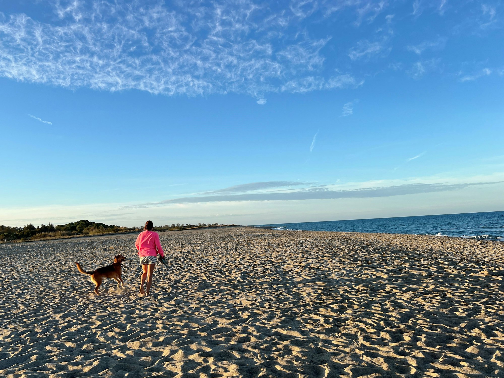 Camping Le Rouissilionais in Argels sur Mer
für Reiseseite 24.11.24