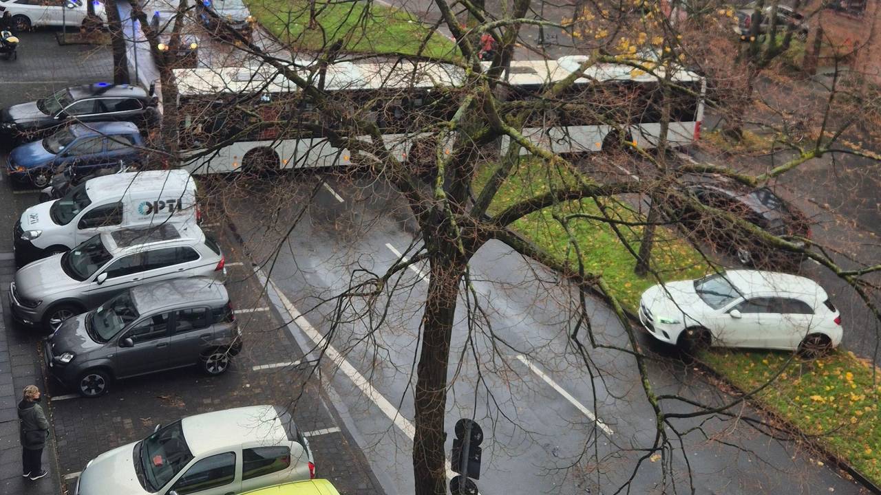 Ein KVB-Bus sorgte am Freitag (21. November 2024) für ein Hupkonzert auf der Neusser Straße im Agnesviertel – wohl nicht zum ersten Mal.