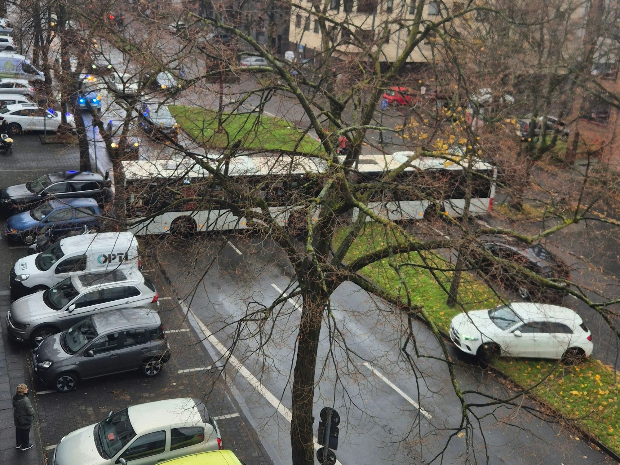 Ein KVB-Bus sorgte am Freitag (21. November 2024) für ein Hupkonzert auf der Neusser Straße im Agnesviertel – wohl nicht zum ersten Mal.