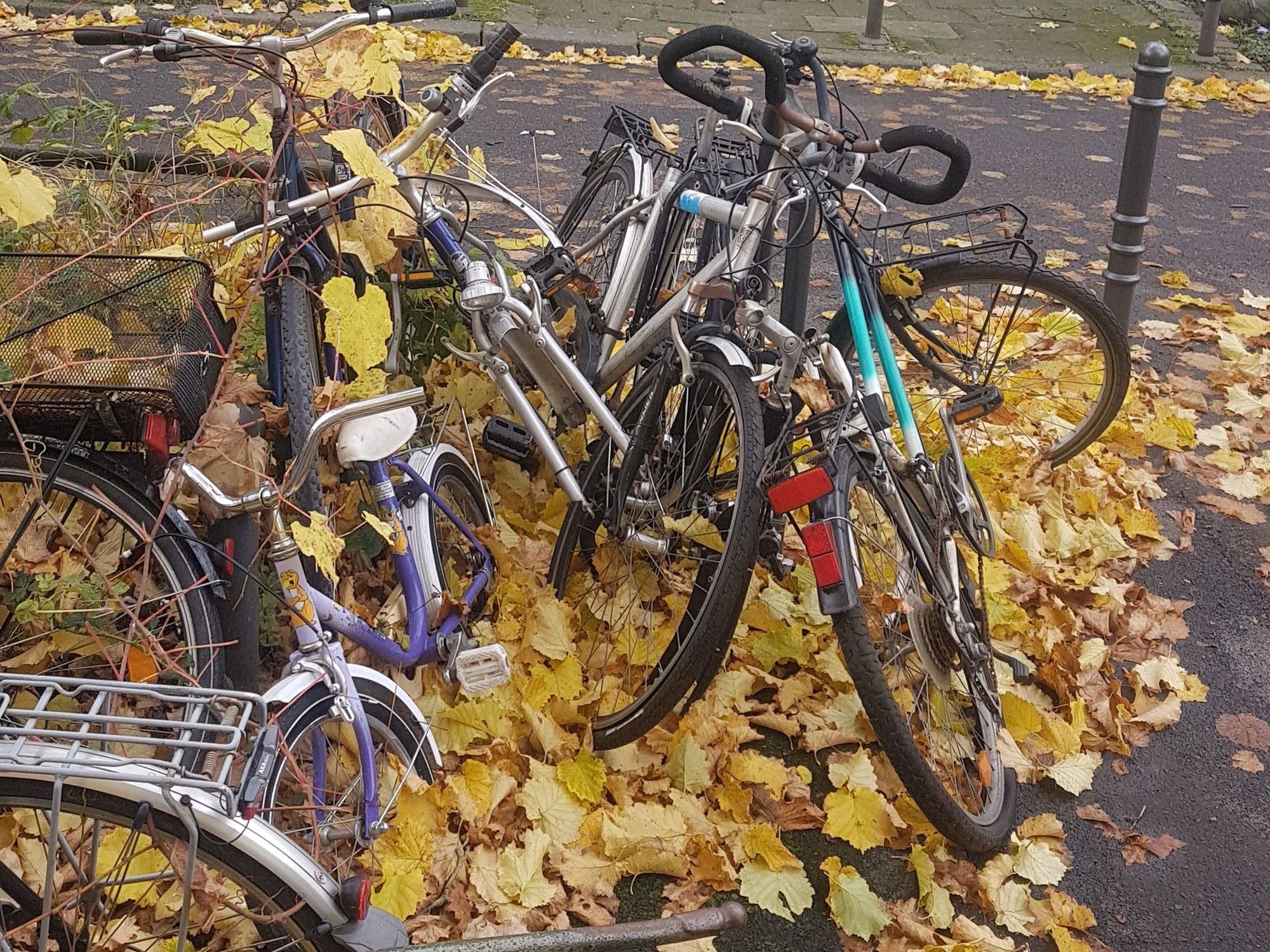 Fahrradleichen stehen am Straßenrand.