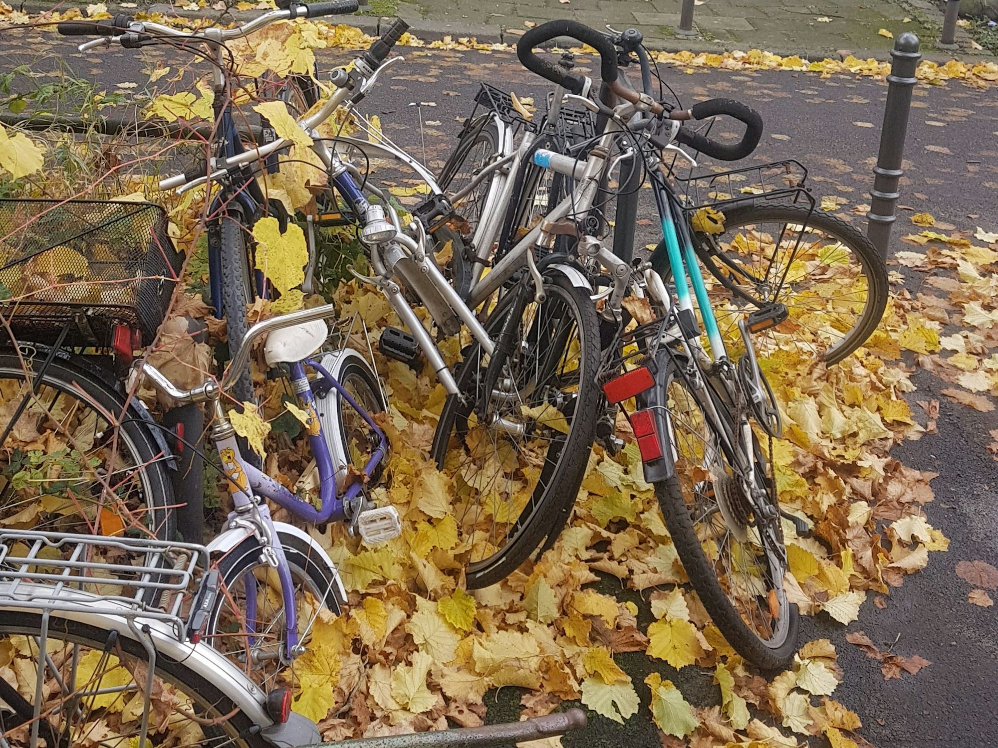 Fahrradleichen stehen am Straßenrand.