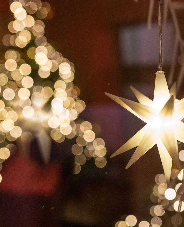 Tannenbaum trotz Klimawandel? Nein! Hier kommen die besten nachhaltigen Weihnachtsbaum-Alternativen. Unser Symbolbild wurde 2021 geschossen.
