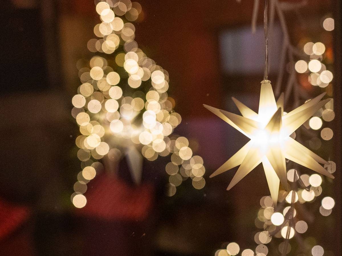 Tannenbaum trotz Klimawandel? Nein! Hier kommen die besten nachhaltigen Weihnachtsbaum-Alternativen. Unser Symbolbild wurde 2021 geschossen.