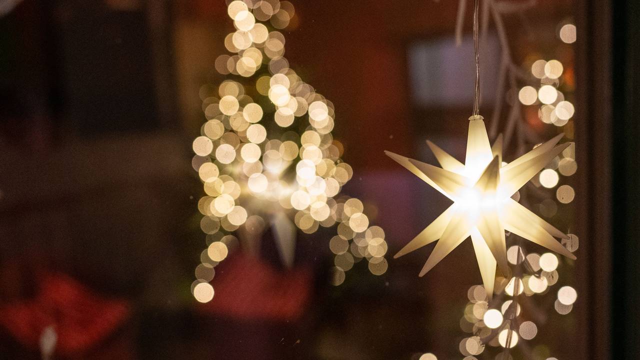 Tannenbaum trotz Klimawandel? Nein! Hier kommen die besten nachhaltigen Weihnachtsbaum-Alternativen. Unser Symbolbild wurde 2021 geschossen.