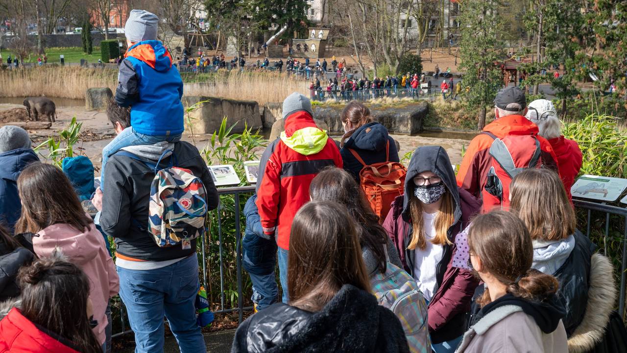 Viele Menschen besuchen Zoo und drängen sich vor den Gehegen.