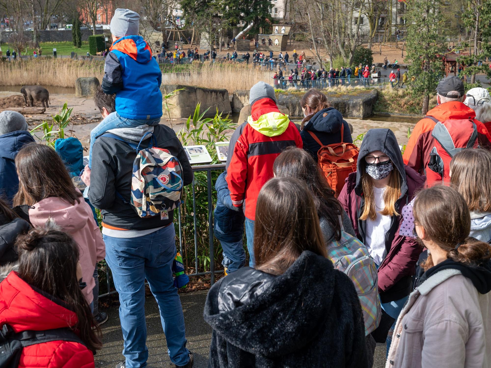 Viele Menschen besuchen Zoo und drängen sich vor den Gehegen.